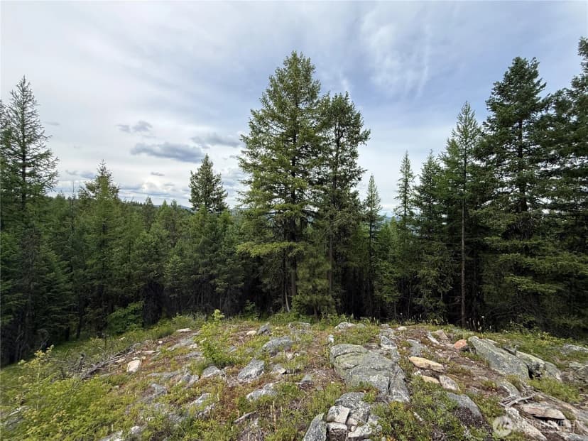 Property photo for 0 Mule Deer Road, Republic photo 13