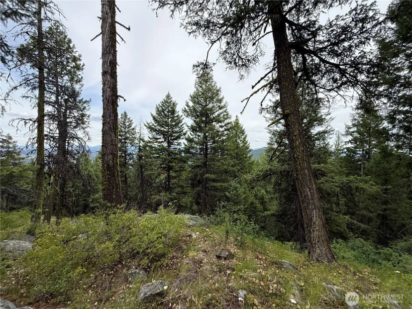 Property photo for 0 Mule Deer Road, Republic photo 15