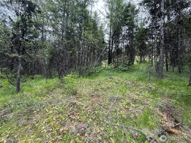 Property photo for 0 Mule Deer Road, Republic photo 2