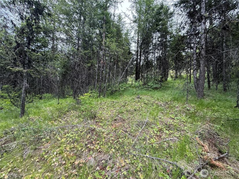 Property photo for 0 Mule Deer Road, Republic photo 2