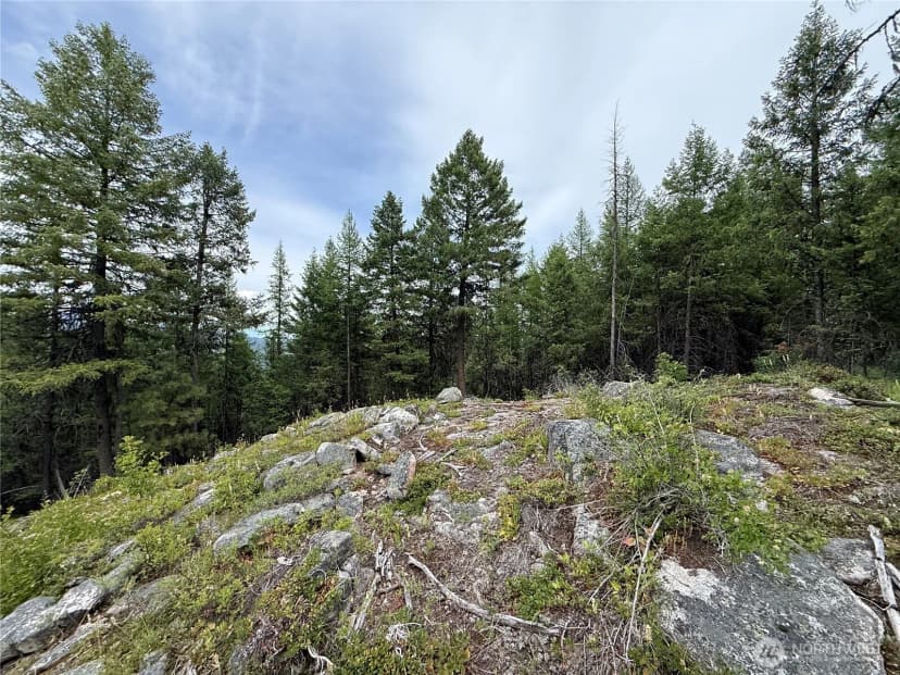 Property photo for 0 Mule Deer Road, Republic photo 12