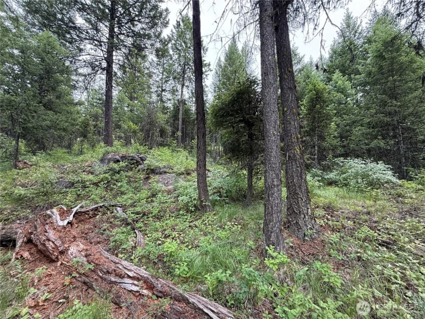Property photo for 0 Mule Deer Road, Republic photo 10