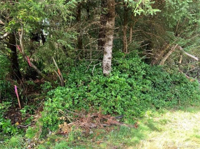 Property photo for 609 Weatherwax, Ocean Shores photo 4