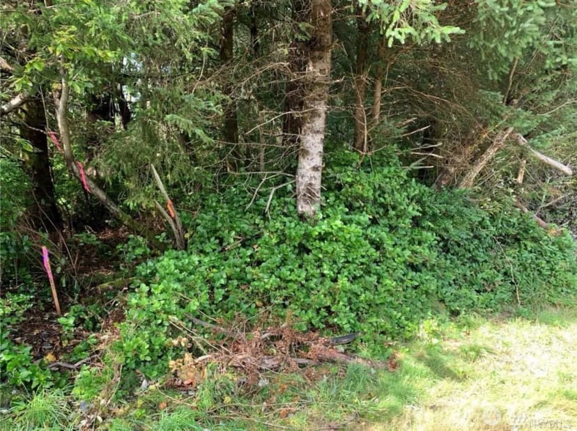 Property photo for 609 Weatherwax, Ocean Shores photo 4