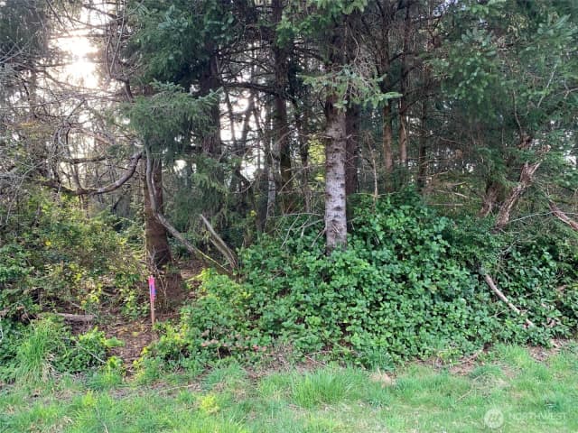 Property photo for 609 Weatherwax, Ocean Shores photo 3