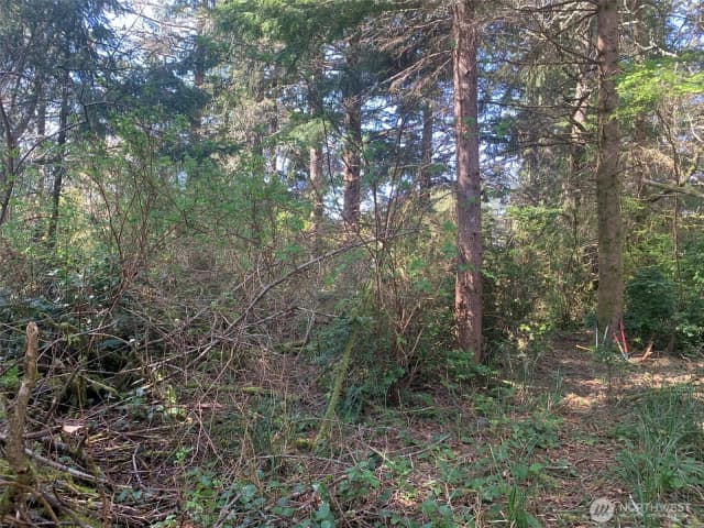 Property photo for 609 Weatherwax, Ocean Shores photo 5