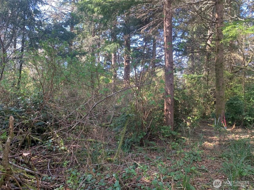 Property photo for 609 Weatherwax, Ocean Shores photo 5