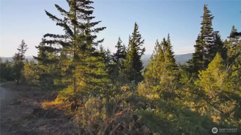 Property photo for 0 Upper Peoh Point, Cle Elum photo 5