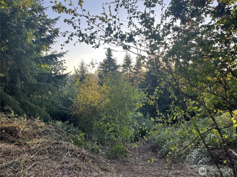 Property photo for 0 Ne Jabez Street, Winlock photo 9