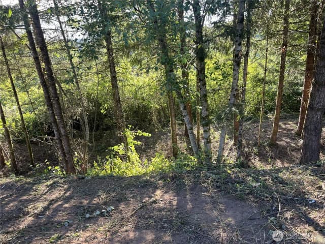 Property photo for 0 Ne Jabez Street, Winlock photo 4