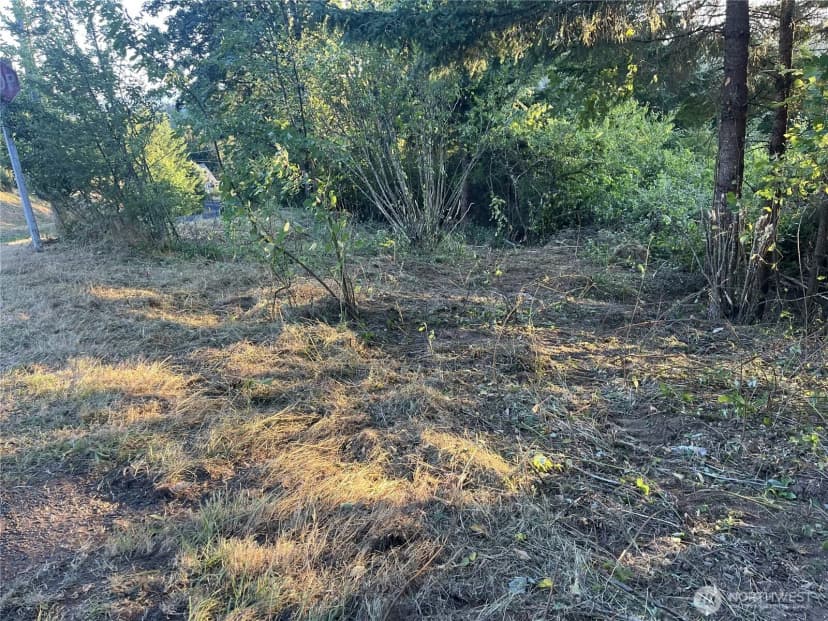 Property photo for 0 Ne Jabez Street, Winlock photo 6