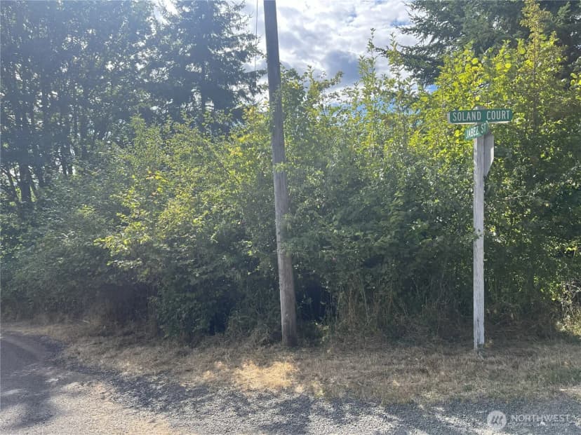 Property photo for 0 Ne Jabez Street, Winlock photo 8