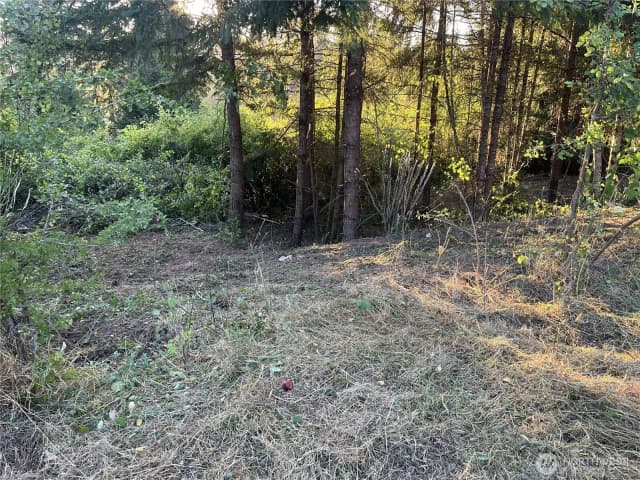 Property photo for 0 Ne Jabez Street, Winlock photo 5