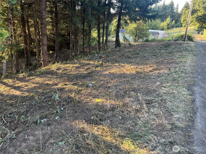 Property photo for 0 Ne Jabez Street, Winlock photo 3