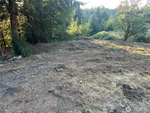 Property photo for 0 Ne Jabez Street, Winlock