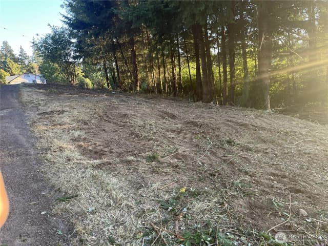 Property photo for 0 Ne Jabez Street, Winlock photo 2