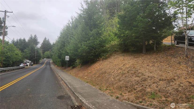 Property photo for 0 Ne Jabez Street, Winlock photo 11
