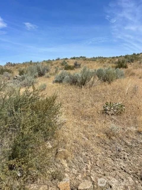 Property photo for 0 Lot 1, Pateros photo 14