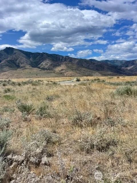 Property photo for 0 Lot 1, Pateros photo 4
