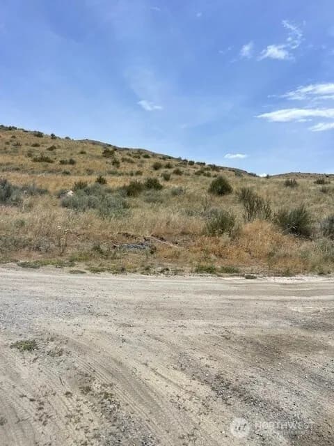 Property photo for 0 Lot 1, Pateros photo 7