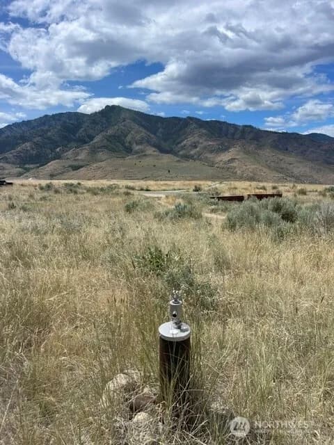 Property photo for 0 Lot 1, Pateros