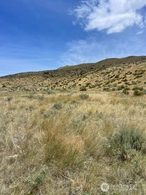 Property photo for 410 Lot 2 Bill Shaw Road, Pateros photo 4