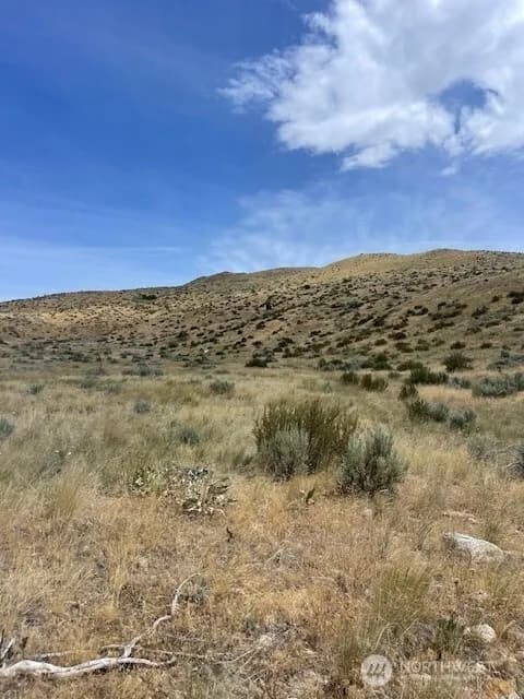 Property photo for 410 Lot 2 Bill Shaw Road, Pateros