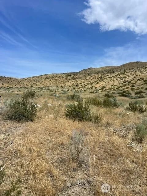 Property photo for 410 Lot 2 Bill Shaw Road, Pateros photo 8
