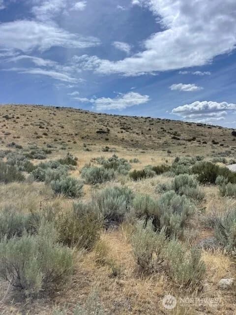 Property photo for 410 Lot 2 Bill Shaw Road, Pateros photo 10