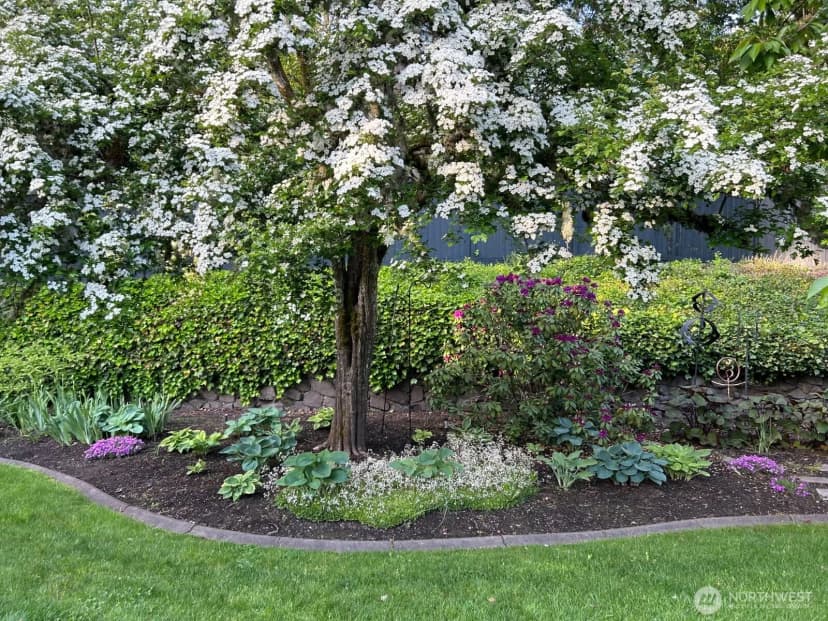 Property photo for 10415 Brook Lane Sw, Lakewood photo 38