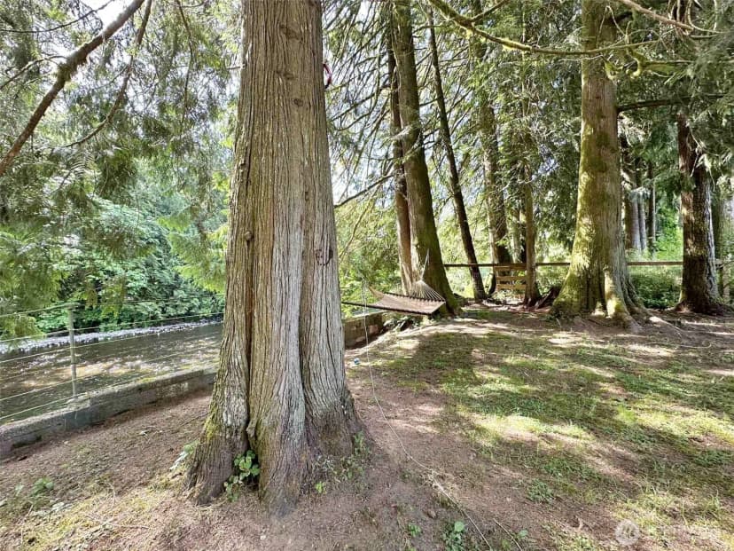 Property photo for 170 Tilton Drive, Morton photo 8