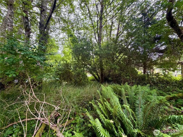 Property photo for 772 Island Circle Se, Ocean Shores photo 4