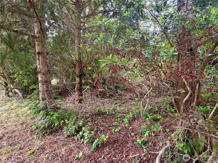 Property photo for 772 Island Circle Se, Ocean Shores photo 6