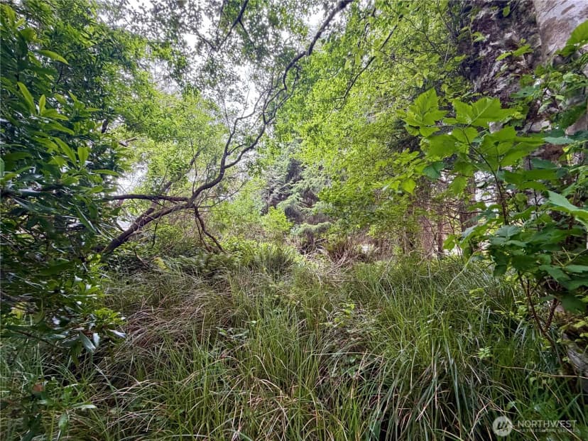Property photo for 772 Island Circle Se, Ocean Shores photo 12