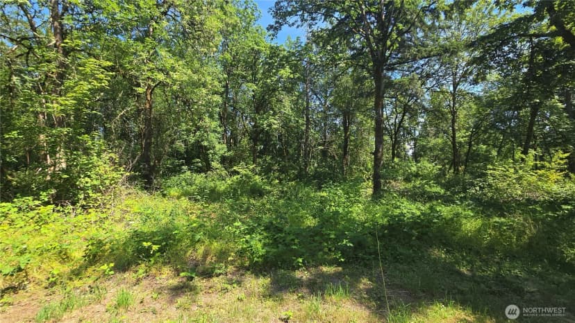Property photo for 364 Xx 48th Avenue S, Auburn photo 25
