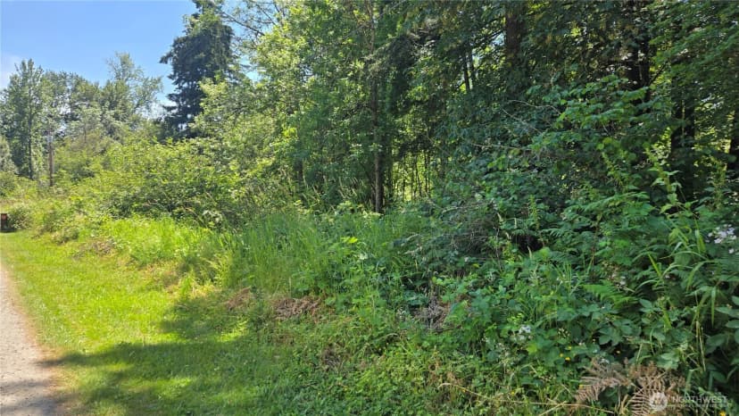 Property photo for 364 Xx 48th Avenue S, Auburn photo 10