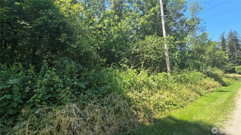 Property photo for 364 Xx 48th Avenue S, Auburn photo 12