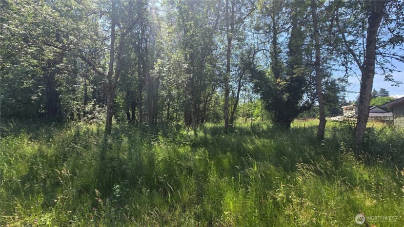 Property photo for 364 Xx 48th Avenue S, Auburn photo 4