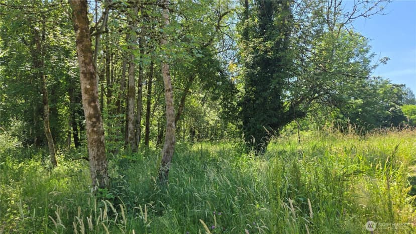 Property photo for 364 Xx 48th Avenue S, Auburn photo 8