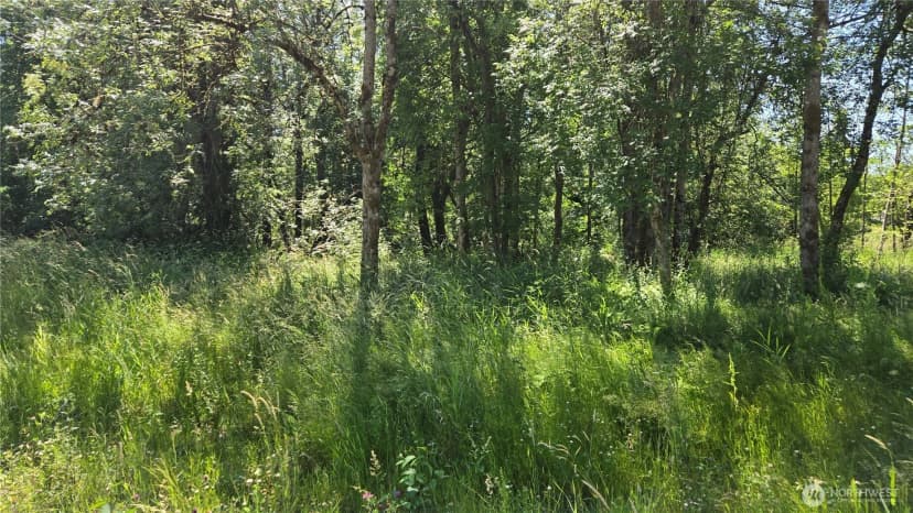 Property photo for 364 Xx 48th Avenue S, Auburn photo 6