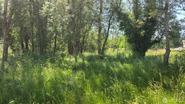 Property photo for 364 Xx 48th Avenue S, Auburn photo 5