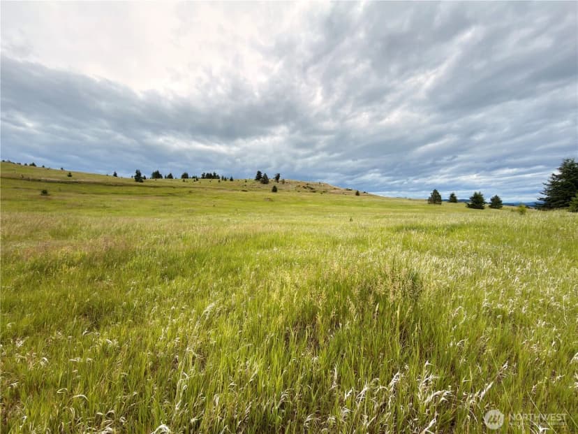 Property photo for 12 S Teal Lake Road, Oroville photo 32
