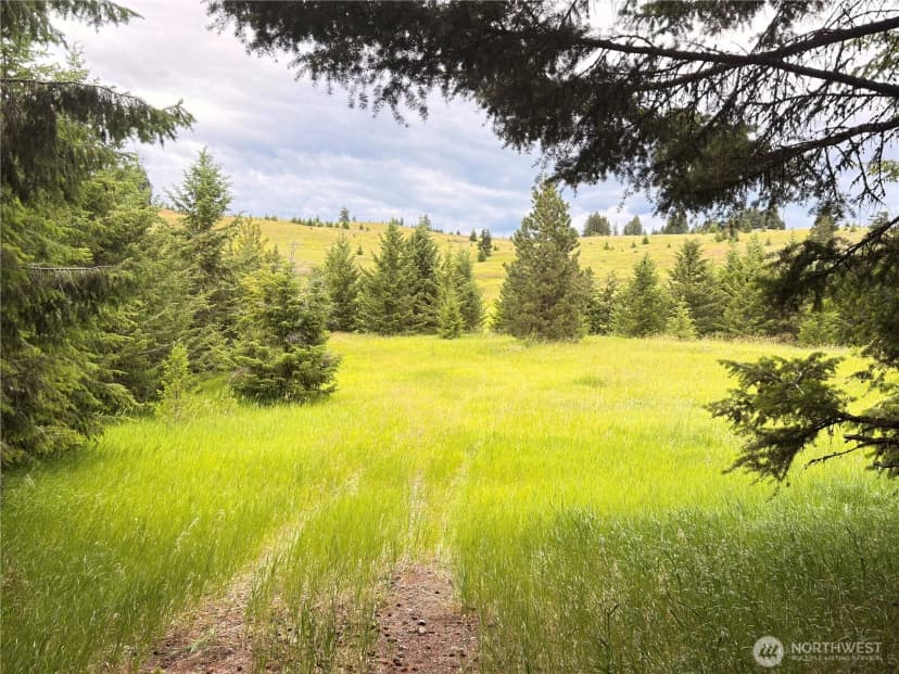 Property photo for 12 S Teal Lake Road, Oroville photo 2