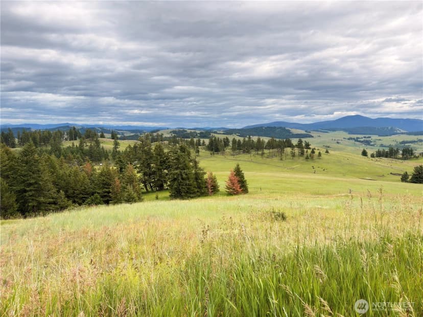 Property photo for 12 S Teal Lake Road, Oroville photo 28