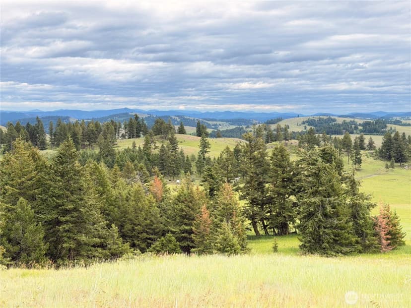 Property photo for 12 S Teal Lake Road, Oroville photo 27