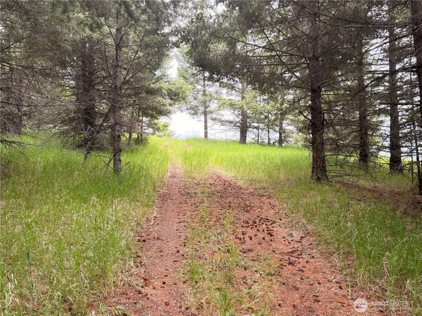 Property photo for 12 S Teal Lake Road, Oroville photo 23