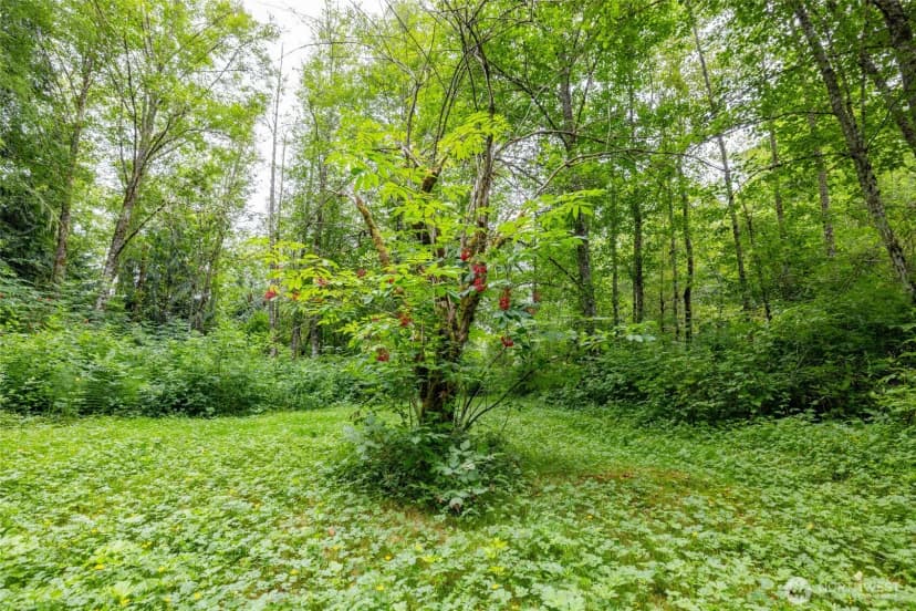 Property photo for 4059 Old Hwy 99 North Road, Burlington photo 32