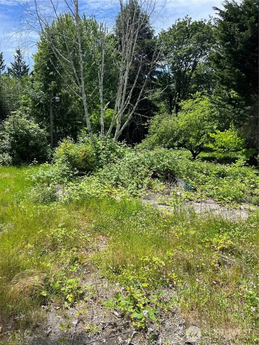 Property photo for 957 Aberdeen Avenue Ne, Renton photo 10