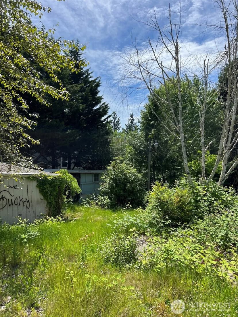 Property photo for 957 Aberdeen Avenue Ne, Renton photo 9