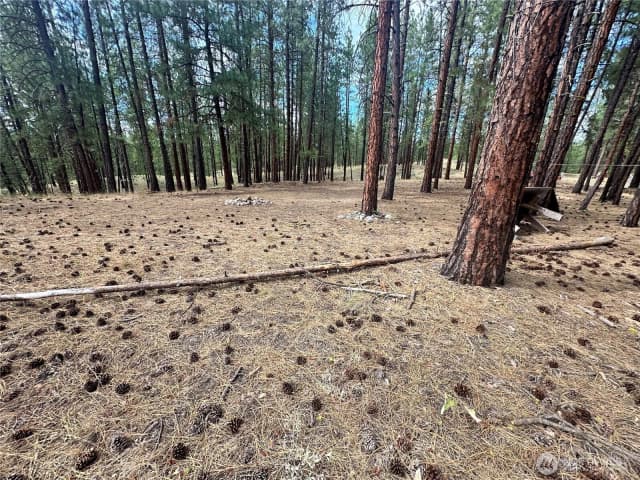 Property photo for 67 Larkspur Drive, Winthrop photo 2